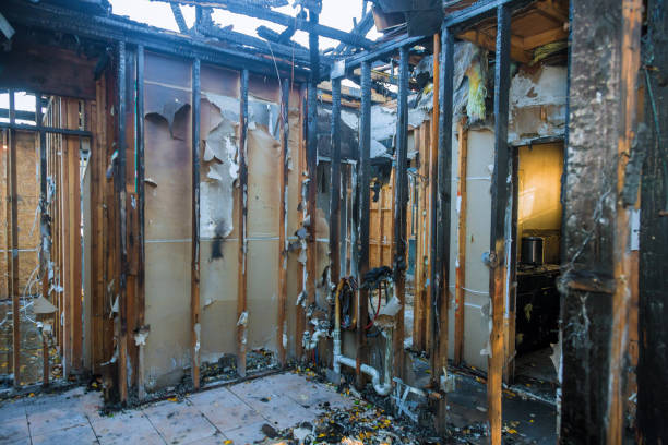 Professional Fire Damage Removal technician working in University Heights, IA